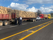 ASEGURARON POLICÍAS ESTATALES CINCO VEHÍCULOS CON 210 TONELADAS DE MADERA
