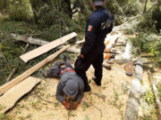 POLICÍA DE MONTAÑA DETUVO A DOS PERSONAS POR DAÑOS AL MEDIO AMBIENTE Y ASEGURA MATERIAL FORESTAL EN LA MALINCHE