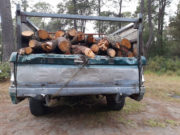 SSC ASEGURÓ MATERIAL FORESTAL EN EL PARQUE NACIONAL LA MALINCHE