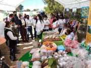 CULTIVO DE NOPAL, OPCIÓN EFECTIVA PARA PRODUCCIÓN AGRÍCOLA EN TLAXCALA