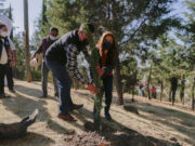LLEVA AYUNTAMIENTO DE SAN ANDRÉS PROGRAMA DE REFORESTACIÓN A SAN ANTONIO CACALOTEPEC