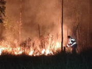 BOMBEROS DE SAN PEDRO SOFOCAN INCENDIO EN CERRO ZAPOTECAS