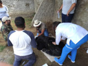 SMA GARANTIZA MEDIDAS DE ATENCIÓN A EJEMPLARES DEL ZOOLÓGICO DEL ALTIPLANO