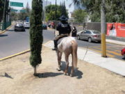 REFUERZA POLICÍA DE SAN ANDRÉS CHOLULA ESQUEMAS DE SEGURIDAD EN COLONIAS E INSPECTORÍAS