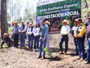 Ayuntamiento de Chignahuapan, reforesta con 2 mil árboles Ejido Emiliano Zapata.