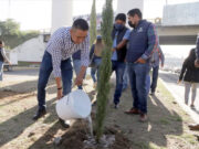 REALIZA AYUNTAMIENTO DE SAN ANDRÉS TERCERA ETAPA DE REFORESTACIÓN EN CARRETERA FEDERAL PUEBLA-ATLIXCO