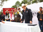 Ayuntamiento de Chignahuapan, plantó 25 mil árboles de navidad.