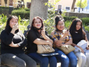 GOBIERNO DE TLAXCALA ATIENDE A MÁS DE 28 MIL MUJERES CON EL PAIMEF