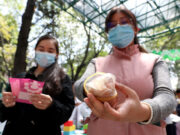 IMSS disminuye más de 20 mil embarazos adolescentes