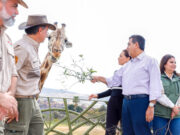 Puebla da bienvenida a jirafa “Benito”; gobierno Estatal respalda causas animalistas, destaca Sergio Salomón
